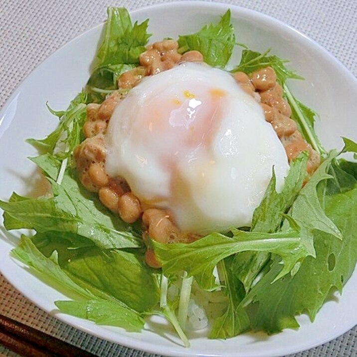 忙しい朝に温玉納豆丼